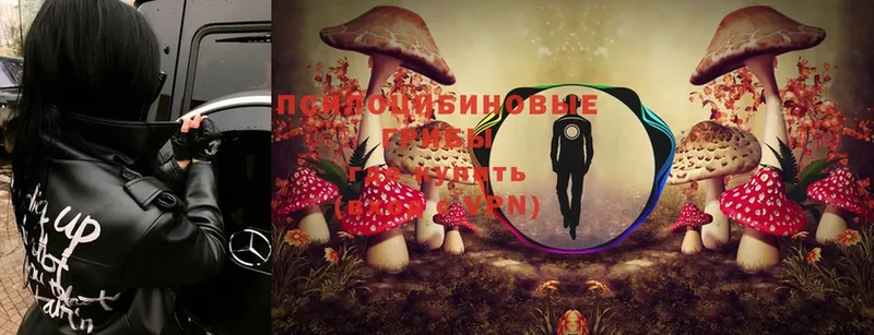 Псилоцибиновые грибы Magic Shrooms  Рязань 